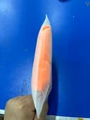 Thumbnail 10 de Cagoule ROCKBROS moto polaire respirante, 9 couleurs 🎒