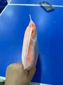 Thumbnail 11 de Cagoule ROCKBROS moto polaire respirante, 9 couleurs 🎒