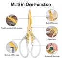 Thumbnail 2 de CGBE ciseaux cuisine acier inoxydable ⚙️