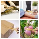 Thumbnail 4 de CGBE ciseaux cuisine acier inoxydable ⚙️