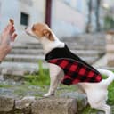 Thumbnail 1 de CITÉTOILE Manteau réversible pour chien XS rouge 📿