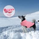 Thumbnail 4 de CITÉTOILE Manteau réversible pour chien XS rouge 📿