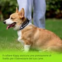 Thumbnail 5 de Collier Kippy Evo avec poche GPS 📱