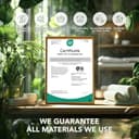 Thumbnail 3 de Deconovo Rideau thermique 140x245 cm ⌚