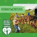 Thumbnail 8 de DOKAS Snack Premium sans gluten, taille pratique ⚡