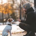 Thumbnail 6 de Donfri Bonnet Homme Laine mérinos très chaud 🎩