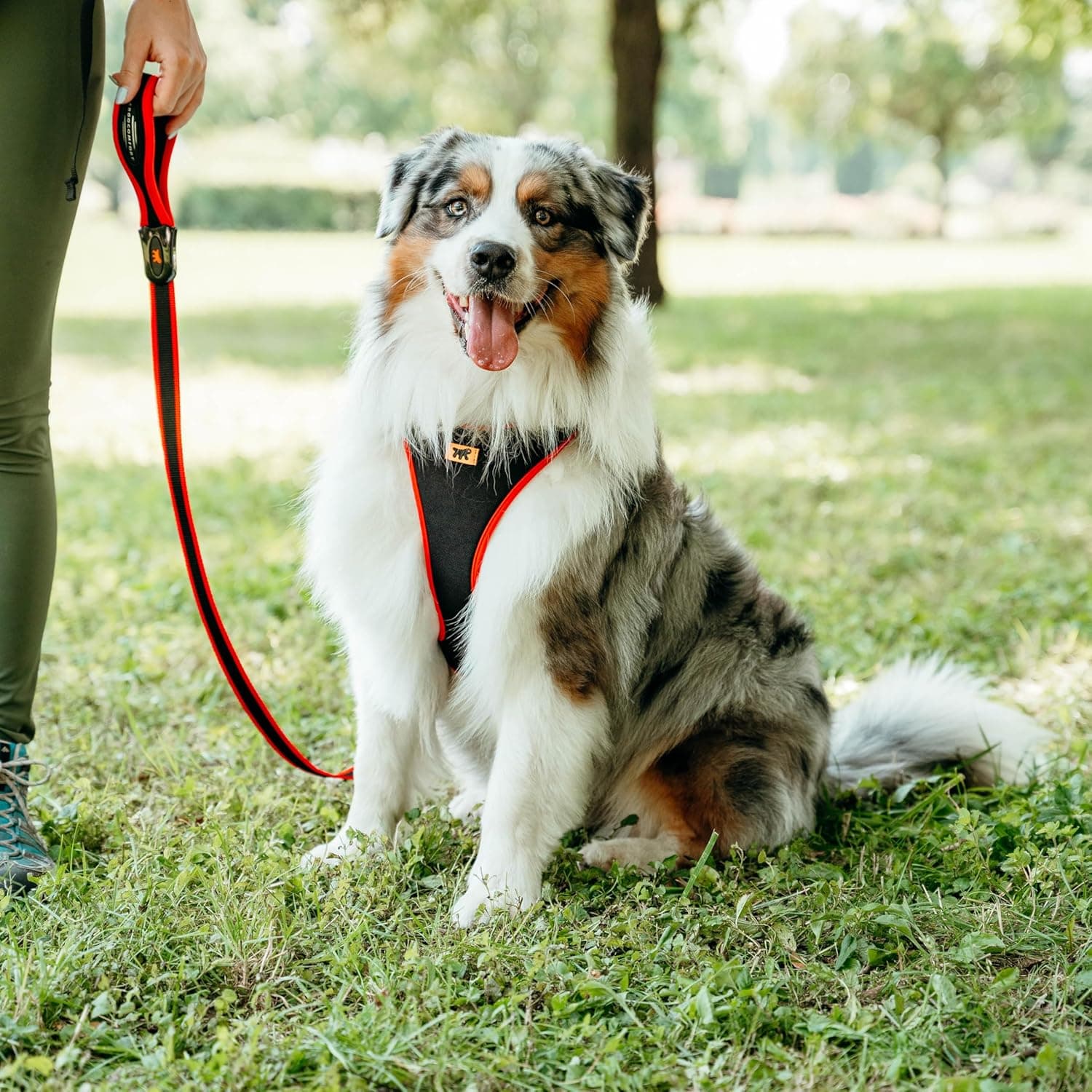Ferplast Laisse chien ERGOCOMFORT - nylon rouge 120 cm 📟