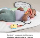 Thumbnail 3 de Fisher-Price Tapis de Jeu Géant Chiot pour bébé dès la naissance 🧸