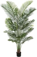 Thumbnail principal de Hamlody Palmier artificiel 180 cm ⌚
