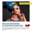 Thumbnail 4 de Huile de ricin bio 500 ml ⚙️