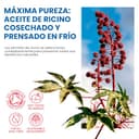 Thumbnail 6 de Huile de ricin bio 500 ml ⚙️