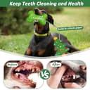 Thumbnail 3 de Jouets couineurs LECHONG pour chien, lot de 4 🎁