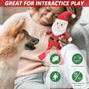 Thumbnail 4 de Jouets couineurs LECHONG pour chien, lot de 4 🎁