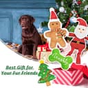 Thumbnail 6 de Jouets couineurs LECHONG pour chien, lot de 4 🎁