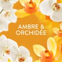 Thumbnail 2 de Lenor Parfum de linge perles 495 g — 41 lavages 🌸