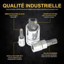 Thumbnail 3 de LEXIVON LX-145 Coffret douilles Torx mâles 10 pièces 🔧