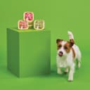 Thumbnail 1 de Lily’s Kitchen Barquettes Bœuf bio 11 x 150 g 🐶