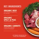 Thumbnail 4 de Lily’s Kitchen Barquettes Bœuf bio 11 x 150 g 🐶