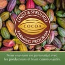 Thumbnail 6 de Lindt Choco Fruits Abricot Orange Ananas 180g 🍫