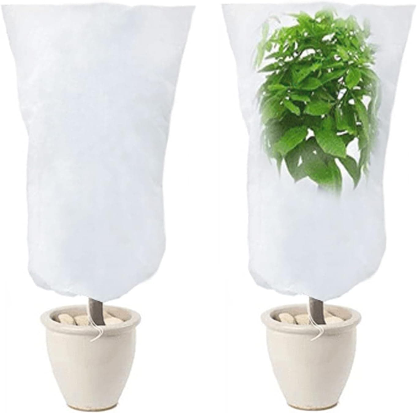 Linsocle Housse hivernage plantes 120×80 cm 📷