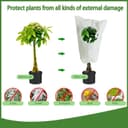 Thumbnail 2 de Linsocle Housse hivernage plantes 120×80 cm 📷