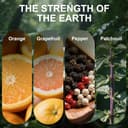 Thumbnail 2 de Lot de 2 diffuseurs désodorisants voiture senteur océan jasmin 30 jours ⚡