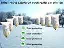 Thumbnail 1 de Lot de 2 voiles hivernage pour plantes 🌿