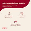 Thumbnail 1 de Mera Essential Beef, aliment sec pour chiens adultes actifs 🐶