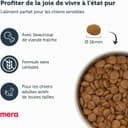 Thumbnail 1 de MERA Pure Sensitive Fresh Meat Dinde 4 kg — croquettes sans céréales pour chien 🐶