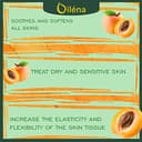 Thumbnail 2 de Oïléna Huile de Noyau d'Abricot, 500 ml 📷