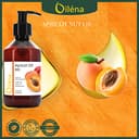 Thumbnail 1 de Oïléna Huile de Noyau d'Abricot Bio 250 ml 📷