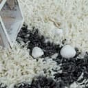 Thumbnail 2 de Paco Home Tapis Shaggy 60x100 cm ⚙️