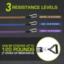 Thumbnail 2 de ProsourceFit Premium Bande Élastique 20–50 lb ⌚