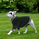 Thumbnail 4 de Pull LiebeDD Noël XXL vert pour chien 🧥