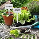 Thumbnail 1 de Relaxdays étiquettes à planter 100 pièces ⚙️