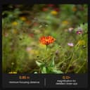 Thumbnail 5 de Rollei AF 85 mm F/1.8 objectif plein format 📷