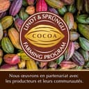 Thumbnail 5 de Sachet Lindt Pistoles PATISSERIE 500g ⚖️