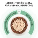 Thumbnail 5 de Schesir Jelly Ton 12 x 70 g ⚙️