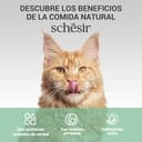 Thumbnail 7 de Schesir Jelly Ton 12 x 70 g ⚙️