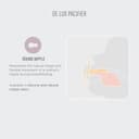 Thumbnail 2 de Tétine BIBS De Lux, lot de 2, silicone 🍒