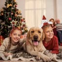 Thumbnail 4 de Umiin bandeaux Noël paillettes ⚡