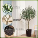 Thumbnail 2 de VeriNatural Olivier 180 cm 🌿