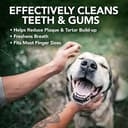 Thumbnail 2 de Vet's Best Tampons de nettoyage des dents pour chiens, meute de 50 🦷