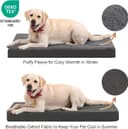 Thumbnail 1 de VoltaEcho Lit orthopédique pour petits chiens 73×45×7 cm 🐶