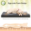 Thumbnail 3 de VoltaEcho Lit orthopédique pour petits chiens 73×45×7 cm 🐶