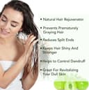 Thumbnail 4 de Amla Olio per Capelli 60 ml — Rinforza le Radici 🧴