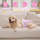 Thumbnail 4 de Aomig Pannolini Lavabili per Cani Femmina S 🎽