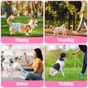 Thumbnail 7 de Aomig Pannolini Lavabili per Cani Femmina S 🎽