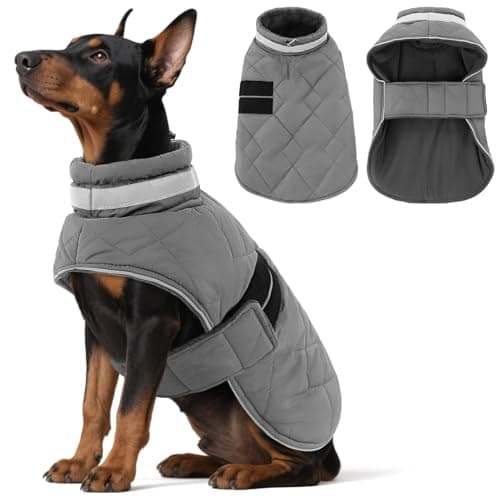 ASENKU Cappotto impermeabile per cane L, foderato in lana 🐶