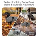 Thumbnail 6 de ASENKU Cappotto impermeabile per cane L, foderato in lana 🐶